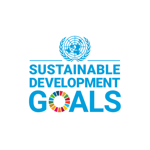 sustainable goals